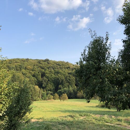 Gyönyörű kilátás nyílik a Mátrára. 