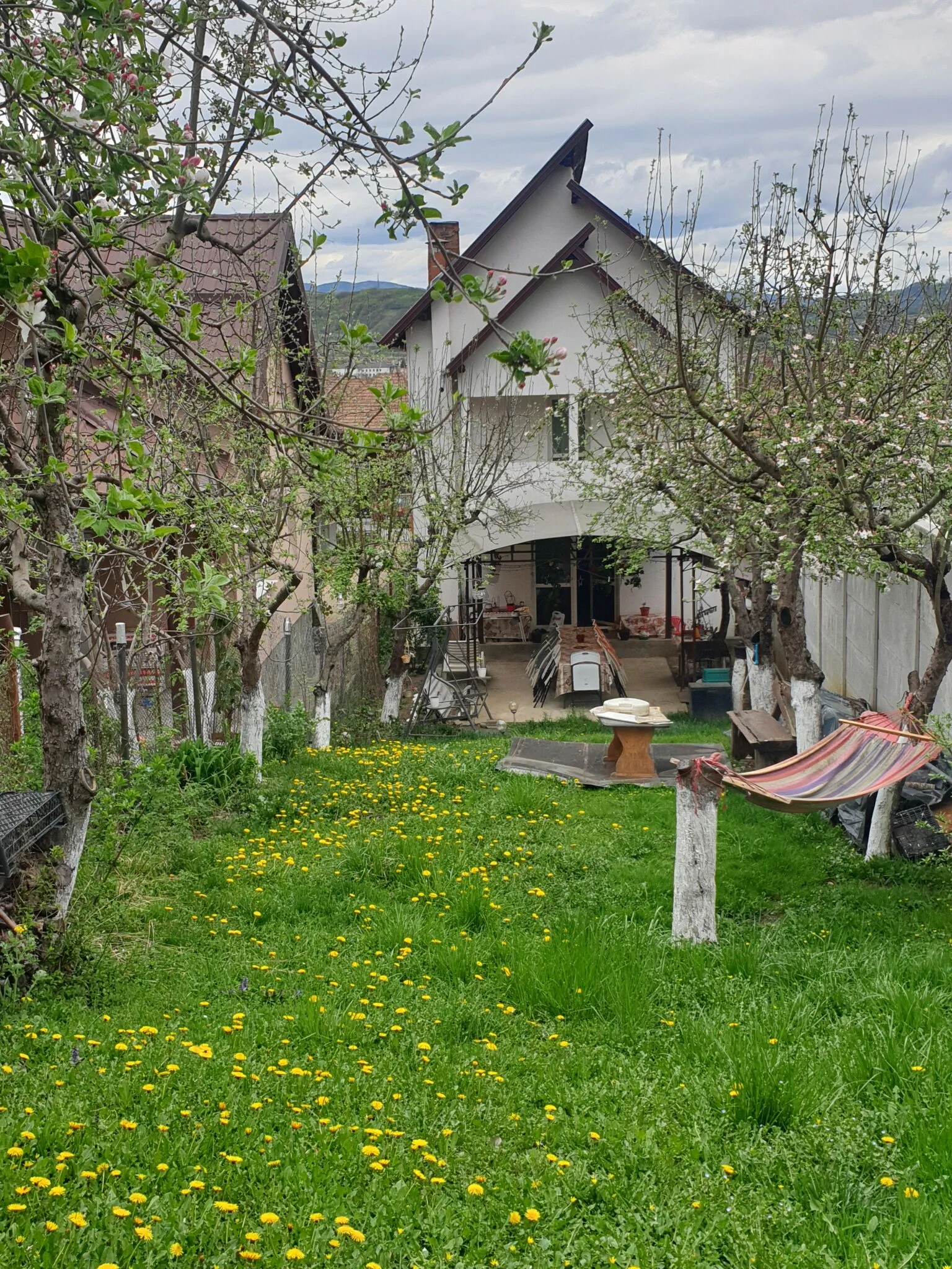 Vila Yanis Călimănești