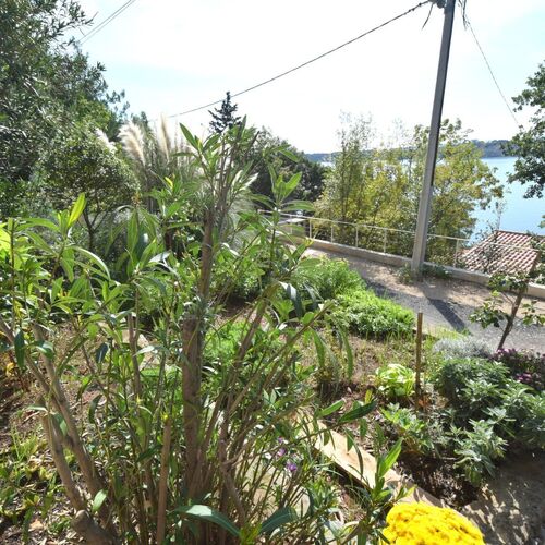 Apartman Cvenkica Omisalj  4