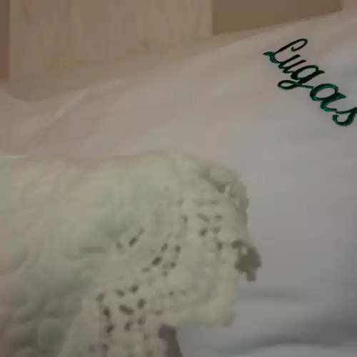 Lugas Vendégház Tótkomló 014 kép
