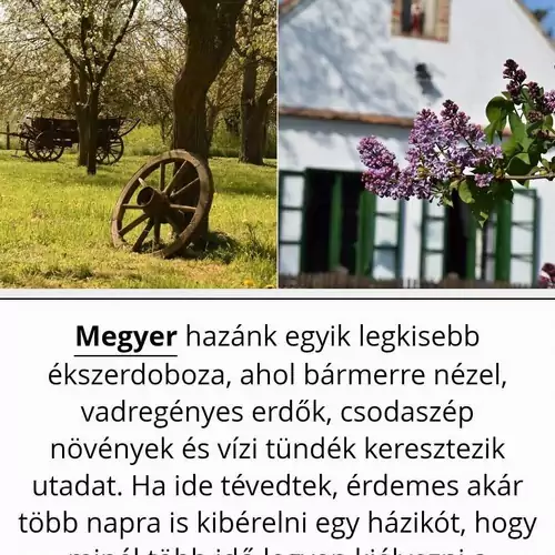 Pitypang Vendégház Megyer 010 kép
