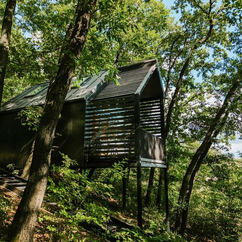 Fekete Rigó Noszvaj