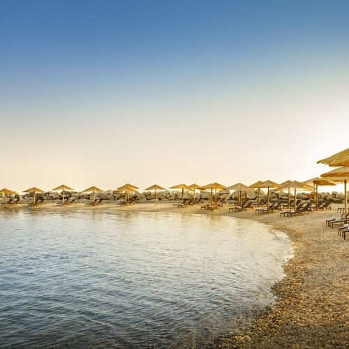 Aminess Maestral Hotel Novigrad ★★★★ 3