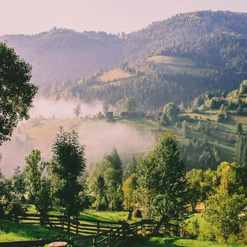 Pensiunea Alexolar Mătișești