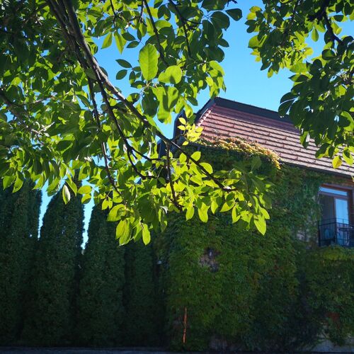 Kis Helikon Villa Hévíz  2