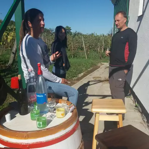 Szent Márton Vendégház Somló Doba 011 kép