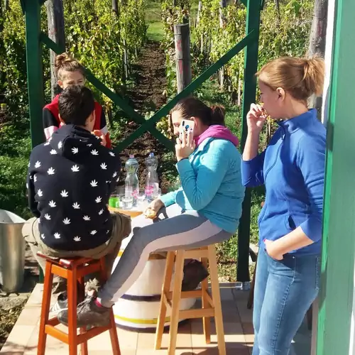 Szent Márton Vendégház Somló Doba 014 kép