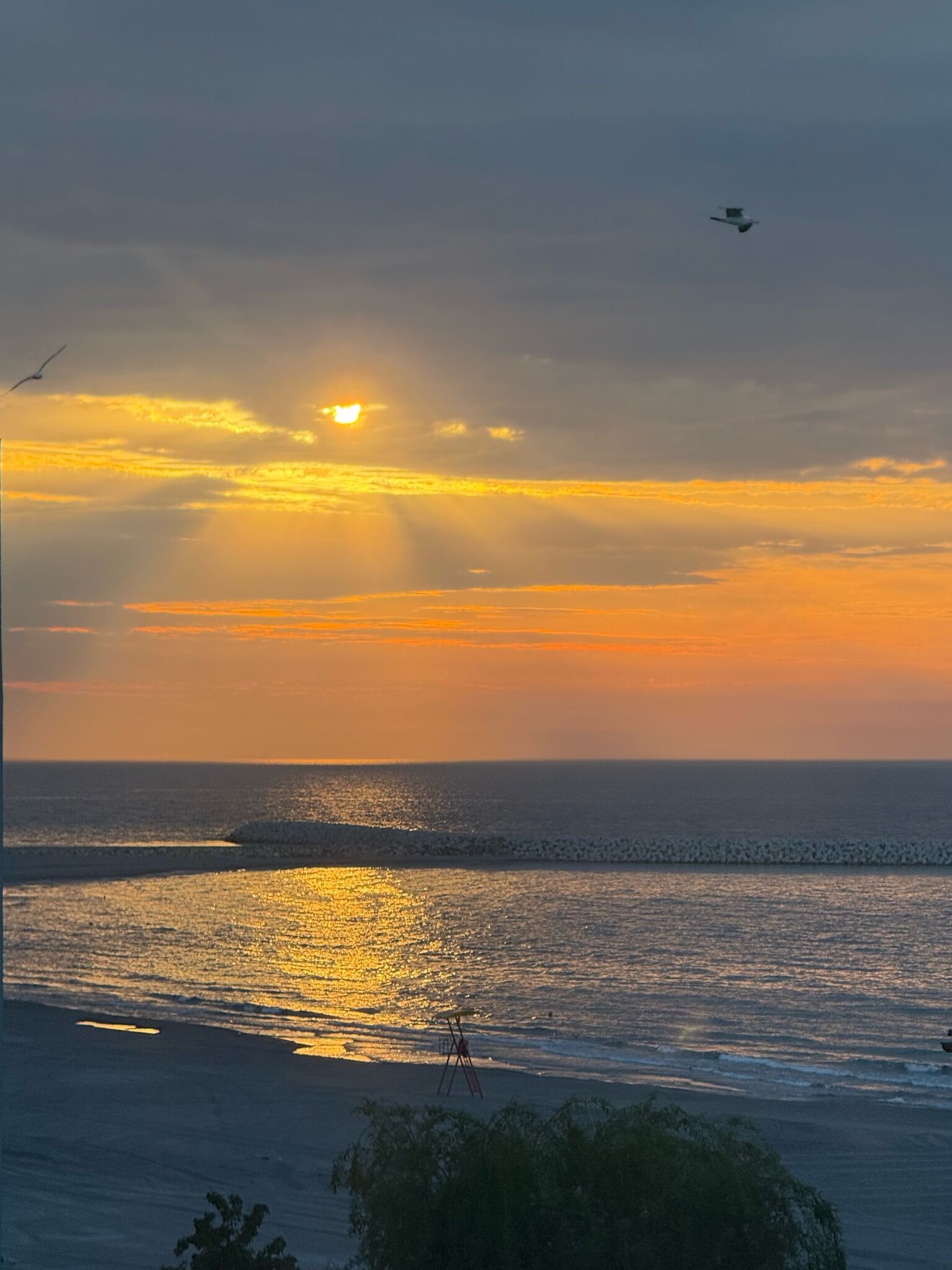 Sea view