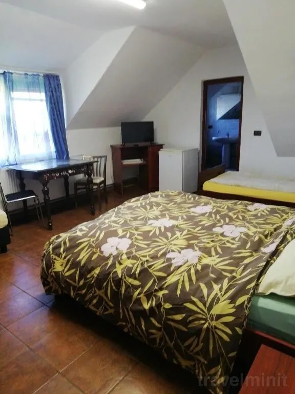 Pensiunea Mario Curtici