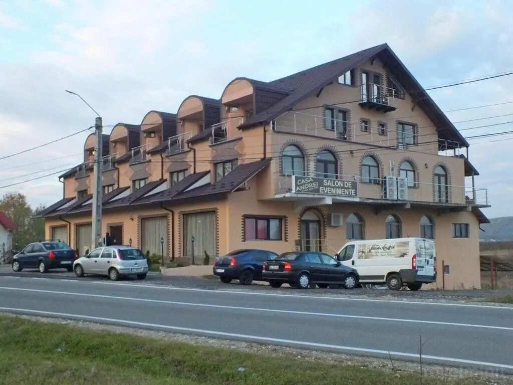 Pensiunea Casa Andrei Merișani