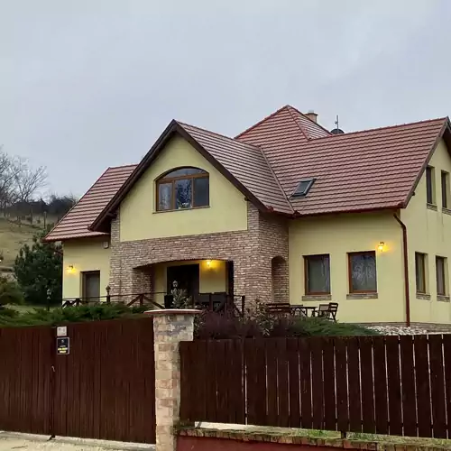 Villa Vinea Etyek 004 kép