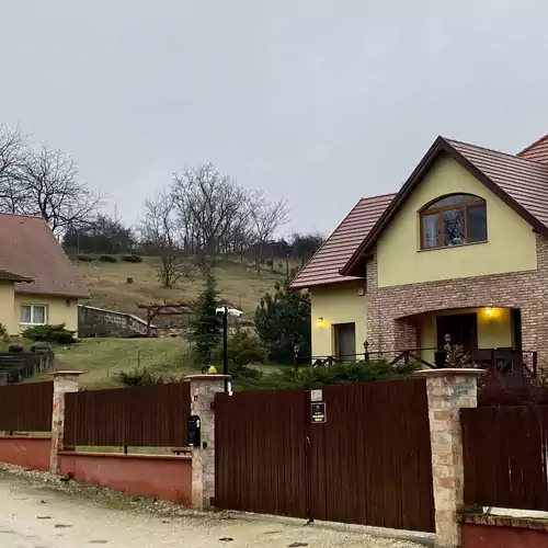 Villa Vinea Etyek 005 kép