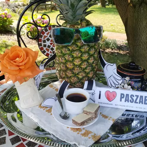 Dura Vendégház Pasza 013 kép