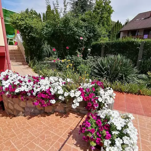 Tímea Apartman Balatonlelle 009 kép