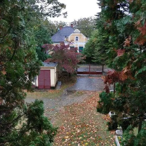 Parkra n&eacute;ző kil&aacute;t&aacute;s