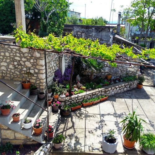 Apartman Ane Bribir  2