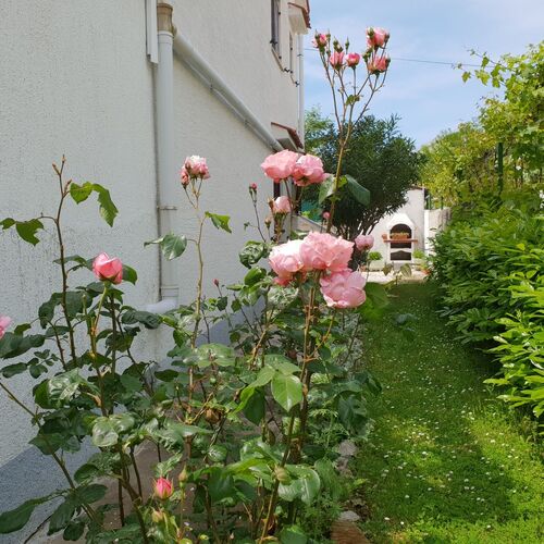 Apartmani Bijelić Šilo  2