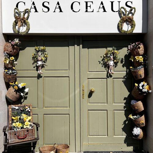 Casa Ceauș Baia Sprie