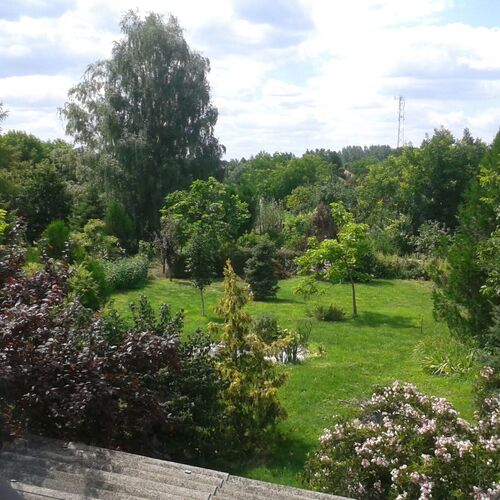 Kil&aacute;t&aacute;s a kertre