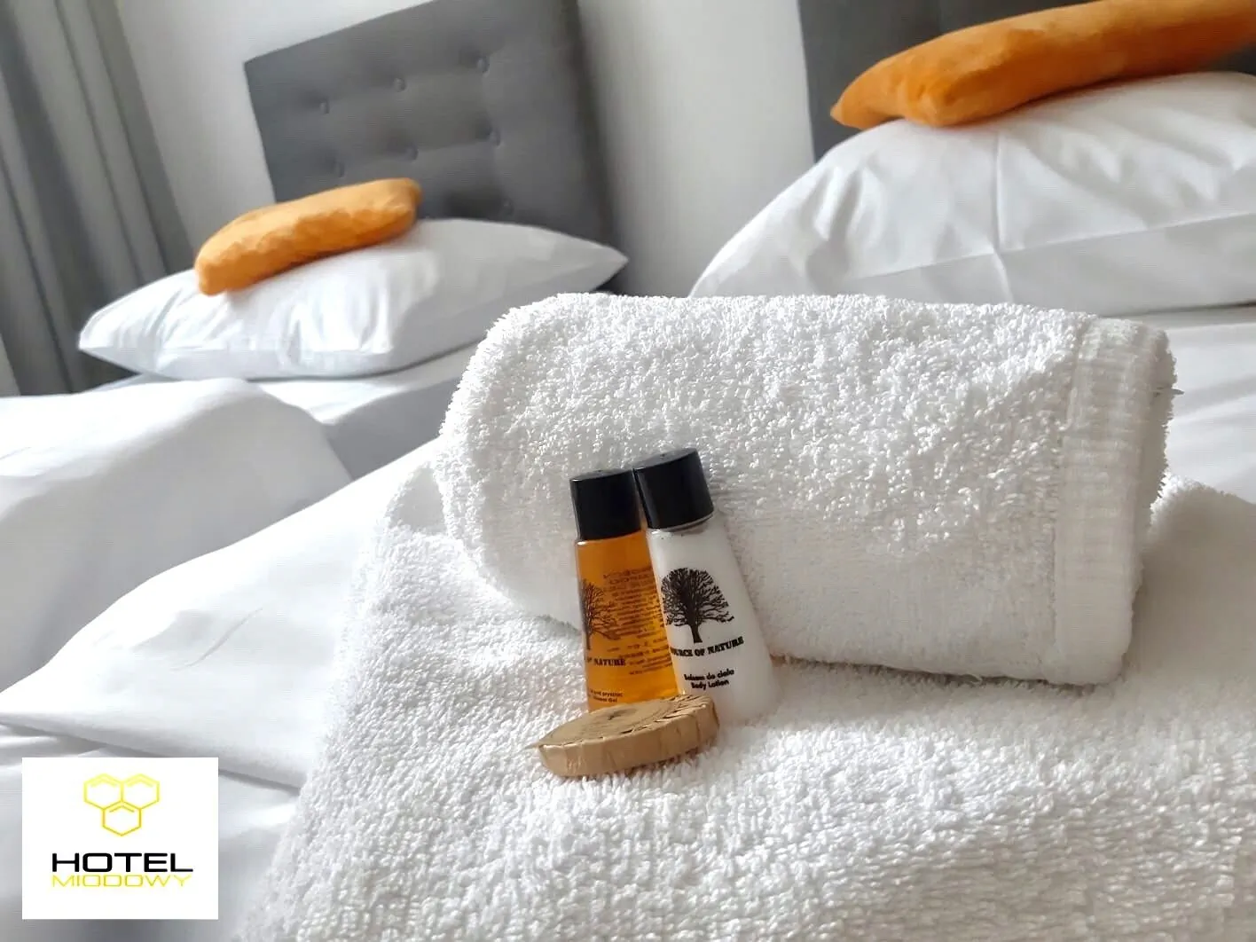 Hotel Miodowy Dzierżoniów