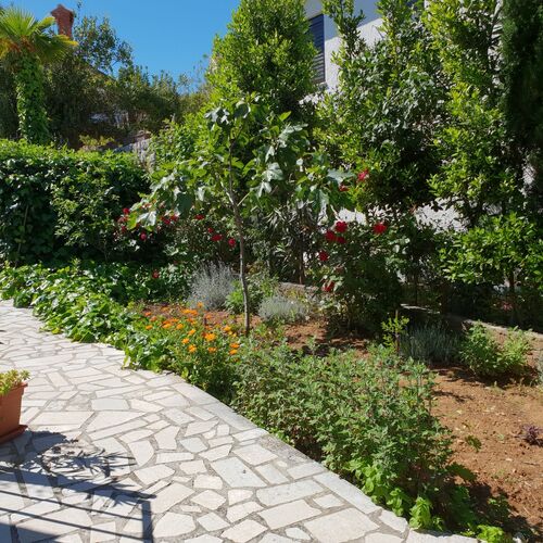 Apartman Anđelko Šilo  3