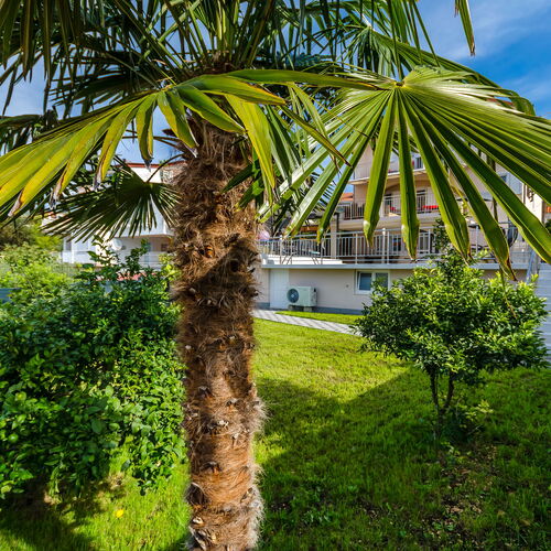 Villa Urban Okrug Gornji  3