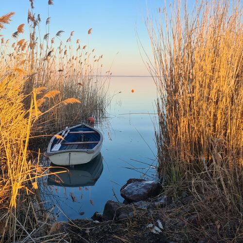 Tom Apartmans Siófok