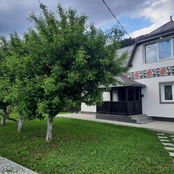 Casa Dumitru si Elena Ciocănești