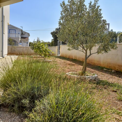 Apartments Vito Razanj  4