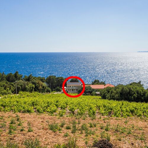 Családi Apartmanok A Tenger Mellett Dingac - Borak, Peljesac - 18060 Dingač - Borak