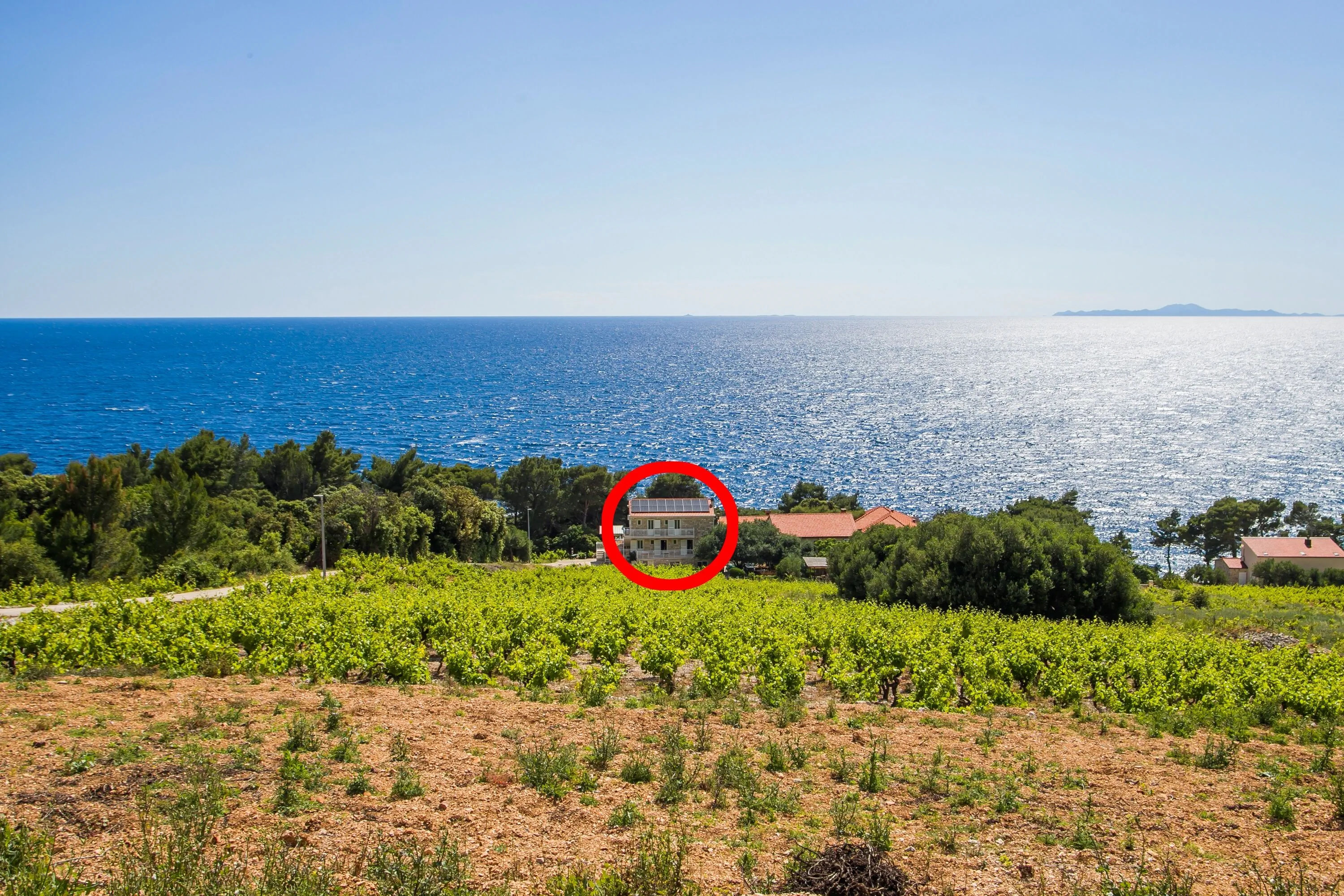 Family Friendly Seaside Apartments Dingač - Borak Pelješac - 18060