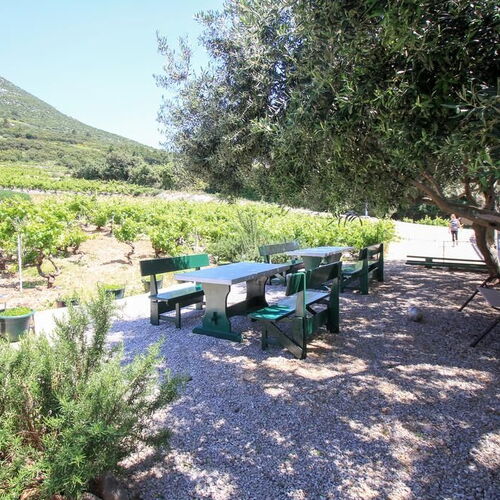 Családi Apartmanok A Tenger Mellett Dingac - Borak, Peljesac - 18065 Dingač - Borak  3
