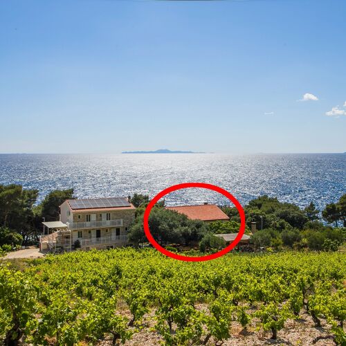 Családi Apartmanok A Tenger Mellett Dingac - Borak, Peljesac - 18065 Dingač - Borak