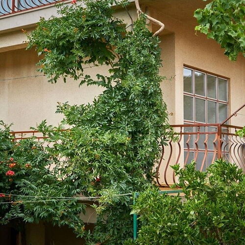 Apartmanok A Tenger Mellett Vinisce, Trogir - 18225 Vinišće  4