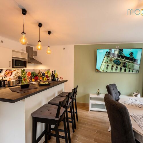 Magnolia Central Apartment Sighișoara