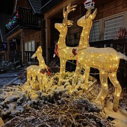 Domki u Jacka Sauna & Relax z widokiem na góry Zakopane&nbsp;<sup></sup>