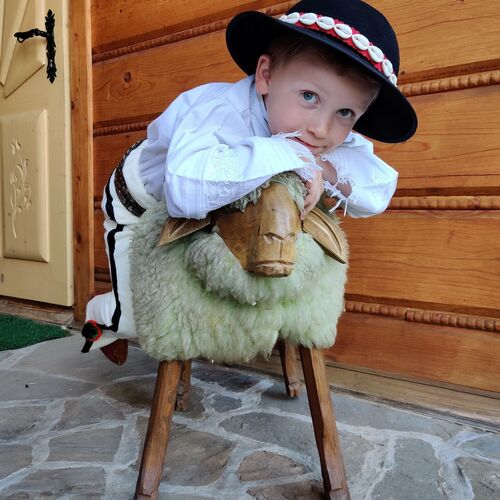 Domki u Jacka Sauna & Relax z widokiem na góry Zakopane