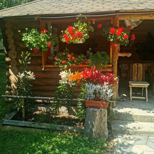  Casa Ela Gura Humorului