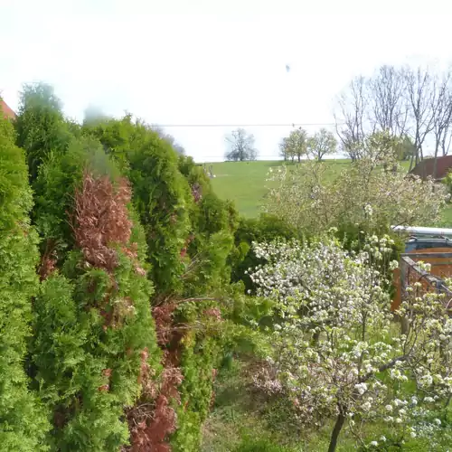 Labdarózsa Apartmanház Fonyód 002 kép