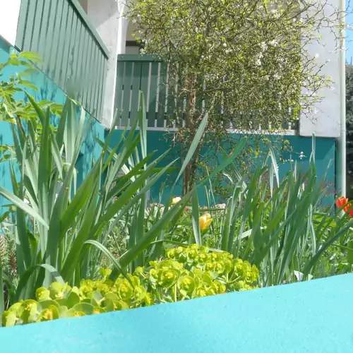 Labdarózsa Apartmanház Fonyód 004 kép