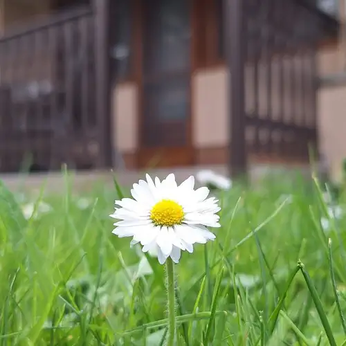 For You Apartman Gyula 020 kép
