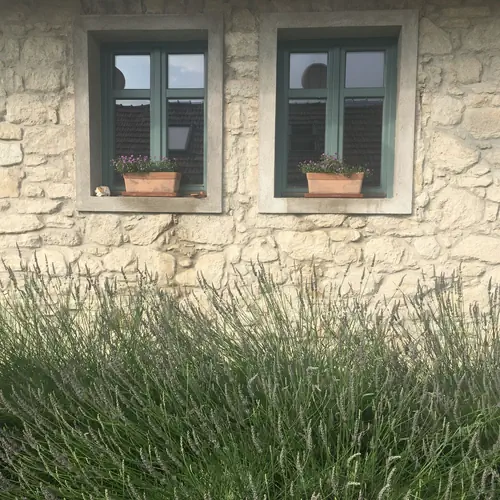 Hungry Grape Guests h&aacute;z &eacute;s kert