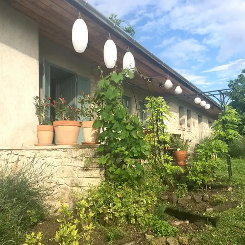 Hungry Grape Guests h&aacute;z &eacute;s kert