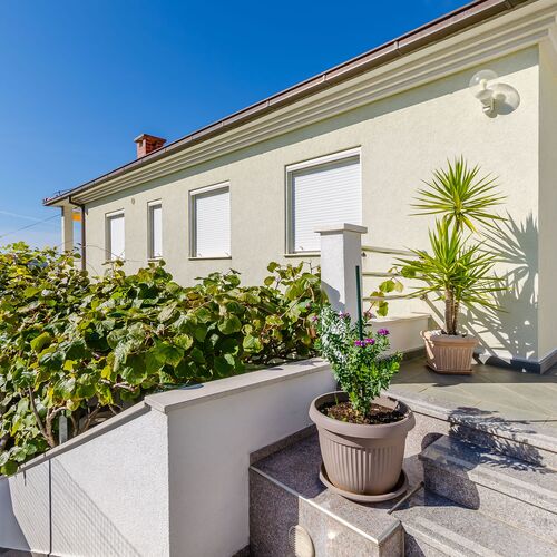 Apartments Palm tree Okrug Gornji  3