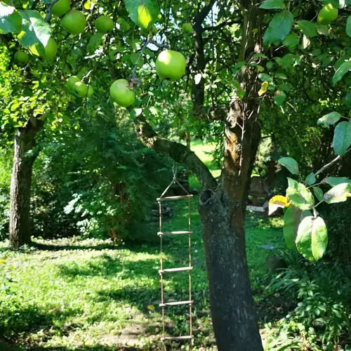 Lóci Palócház Vendégház Nagylóc 015 kép