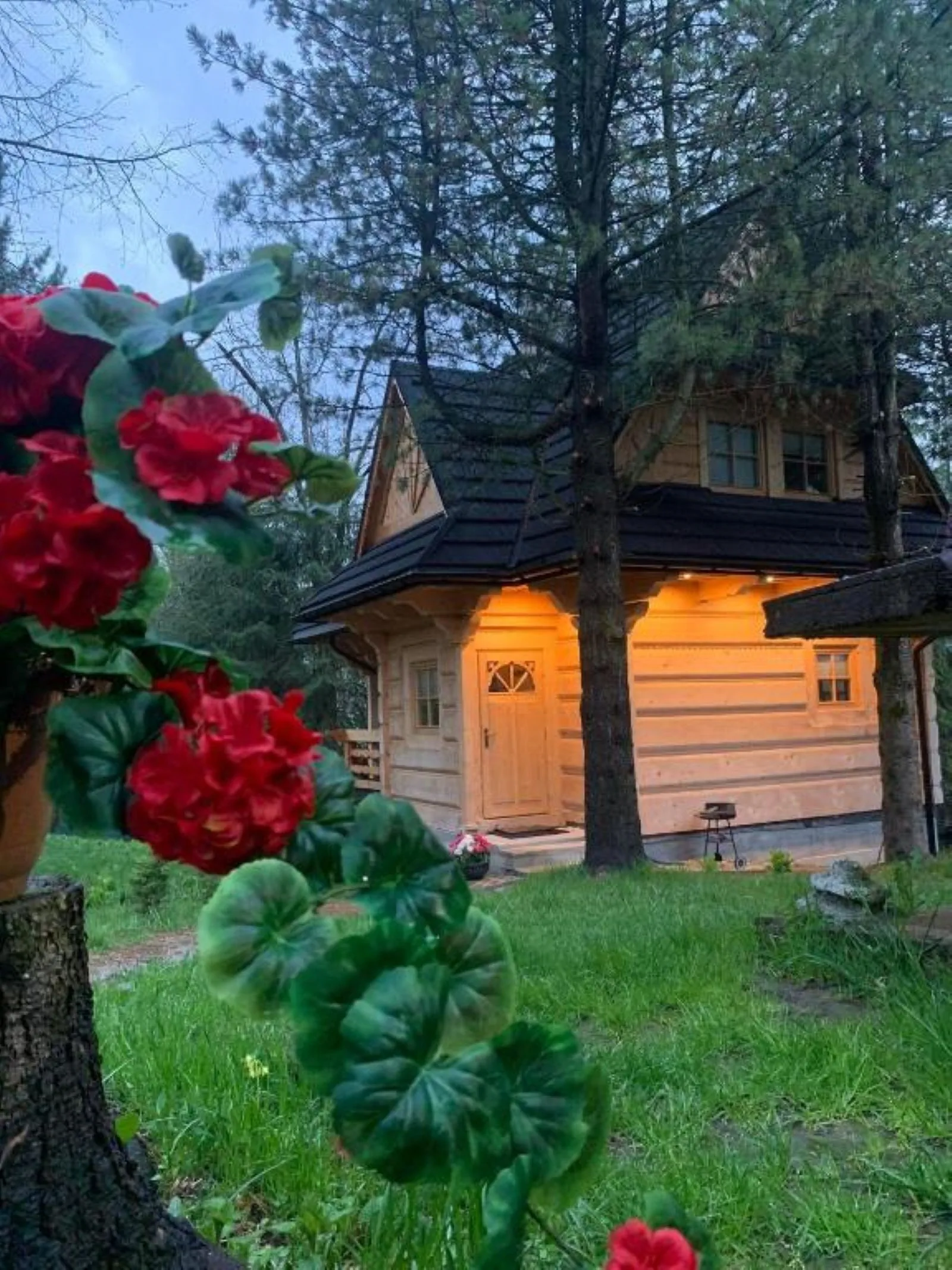 Domek Tatra Wolf House Kościelisko