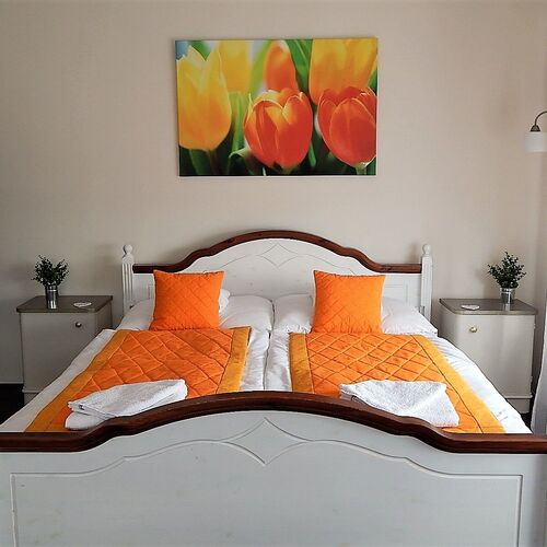 Tulipán apartman