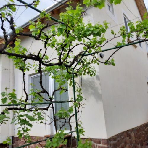 Helka Apartmanház Balatonalmádi  2