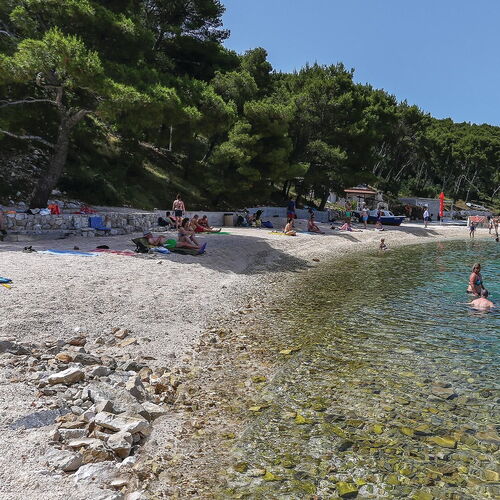Apartman Okrug Donji - CDT084  3