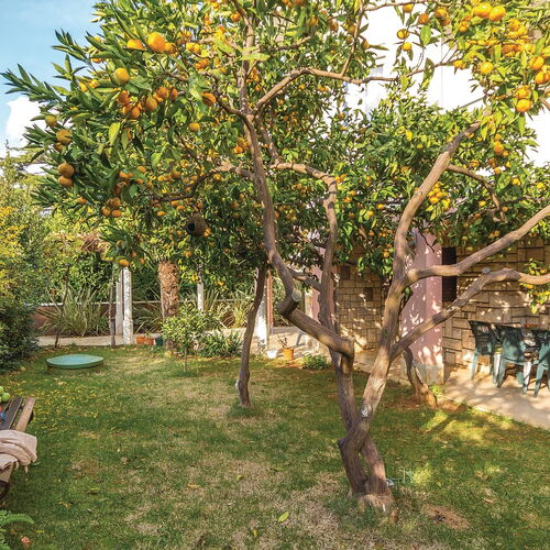 Apartman Pula - CIR064  2